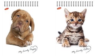 Бл 60л Wсп 150*210 кл 8463/2-EAC ВД лак "My lovely (Щенок и котенок на белом)" Бл 60л Wсп 150*210 кл 8463/2-EAC ВД лак "My lovely (Щенок и котенок на белом)"