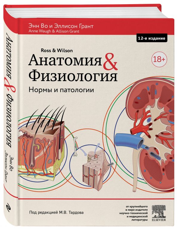 Анатомия и физиология: здоровье и заболевания Анатомия и физиология: здоровье и заболевания