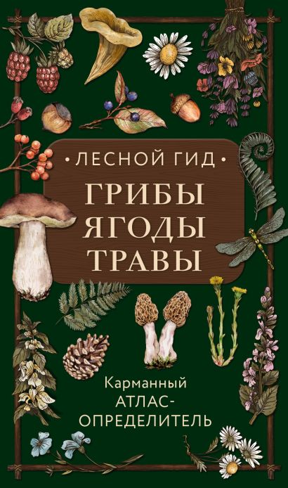 Лесной гид: грибы, ягоды, травы. Карманный атлас-определитель - фото 1