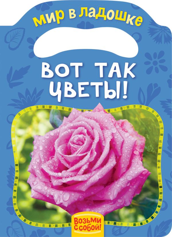 Мазанова Е. К. Вот так цветы! (МвЛ)
