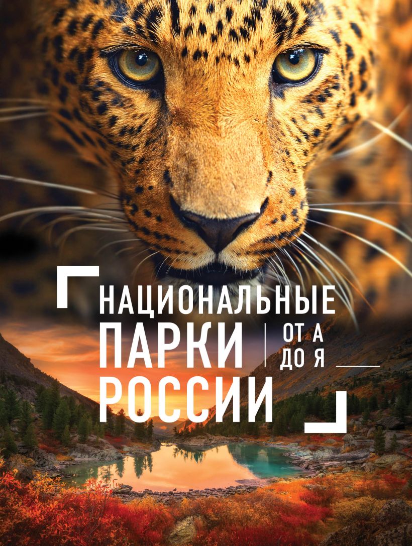 Заповедник книга. Книга национальные парки России. Книга заповедники России. Книги про заповедники и национальные парки. Книга заповедники и национальные парки России.