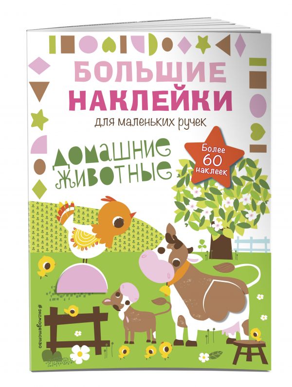 Домашние животные Домашние животные