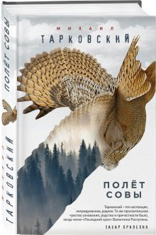 Полёт совы