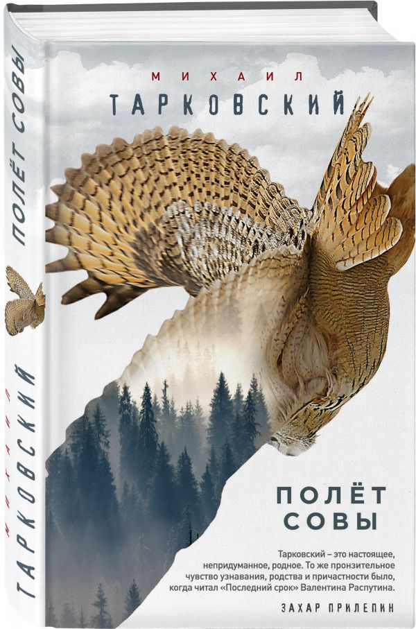 

Полёт совы