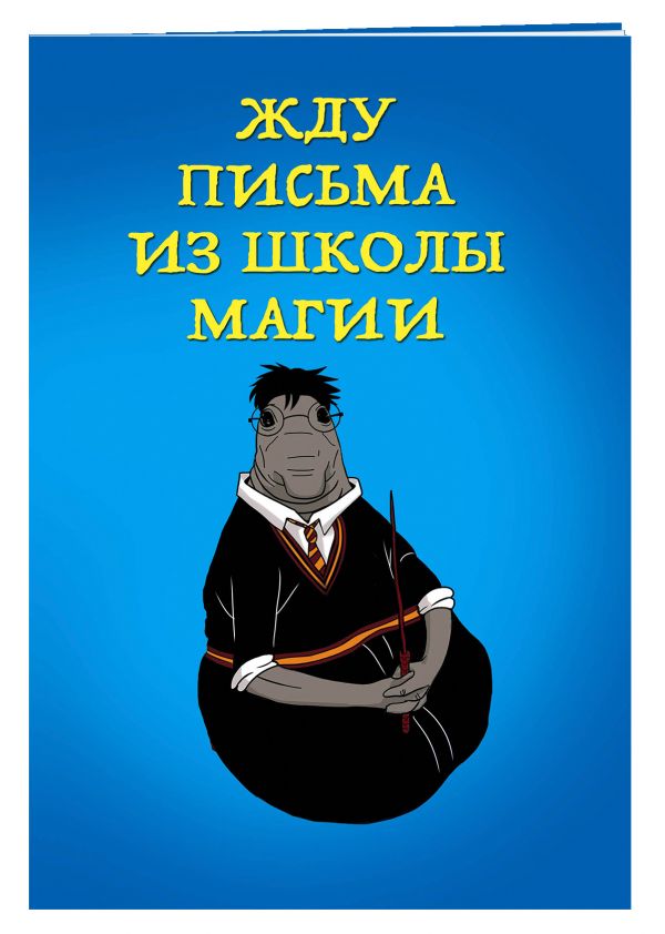 Жду письма из школы магии (блокнот в мягкой обложке линейку) Жду письма из школы магии (блокнот в мягкой обложке линейку)