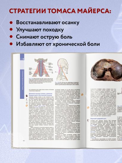Книга Анатомические поезда. 3-е издание • Томас Майерс – купить книгу ...