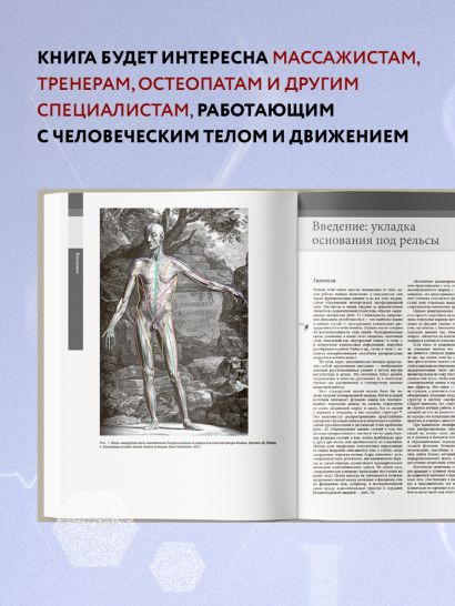 Книга Анатомические поезда. 3-е издание • Томас Майерс – купить книгу ...