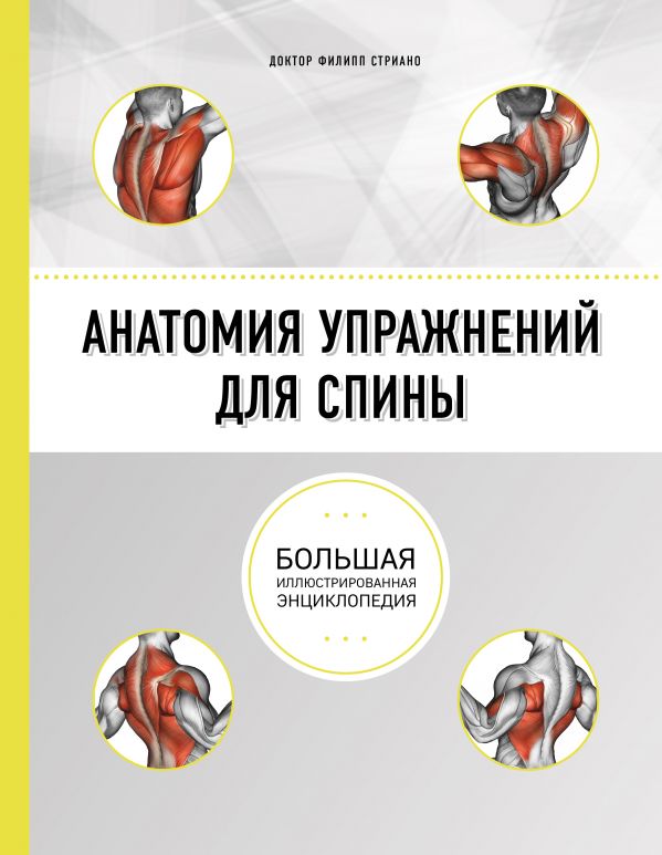 Стриано Филипп - Анатомия упражнений для спины (2-е изд.)