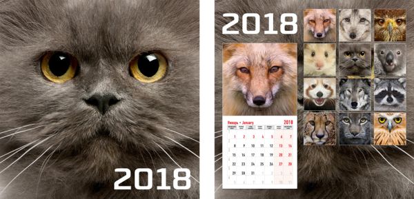 Календарь настенный 2018 скрепка 12л 195*195 8866-EAC Морды животных Календарь настенный 2018 скрепка 12л 195*195 8866-EAC Морды животных