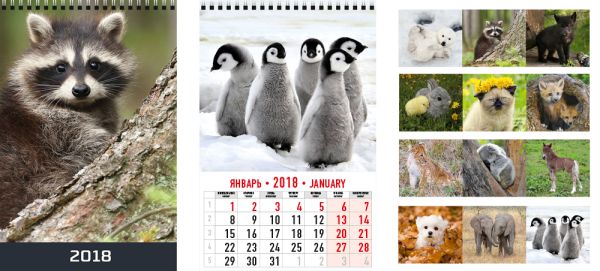 Календарь настенный 2018 Wсп 6л 230*330 8888-EAC Детёныши животных Календарь настенный 2018 Wсп 6л 230*330 8888-EAC Детёныши животных