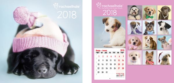 Календарь настенный 2018 скрепка 12л 280*285 RH35-EAC Rachael Hale Календарь настенный 2018 скрепка 12л 280*285 RH35-EAC Rachael Hale