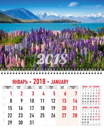 Календарь кварт одноблочный настенный 2018 Wсп 12л 295*200 8870-EAC полн УФ лак Природа Календарь кварт одноблочный настенный 2018 Wсп 12л 295*200 8870-EAC полн УФ лак Природа