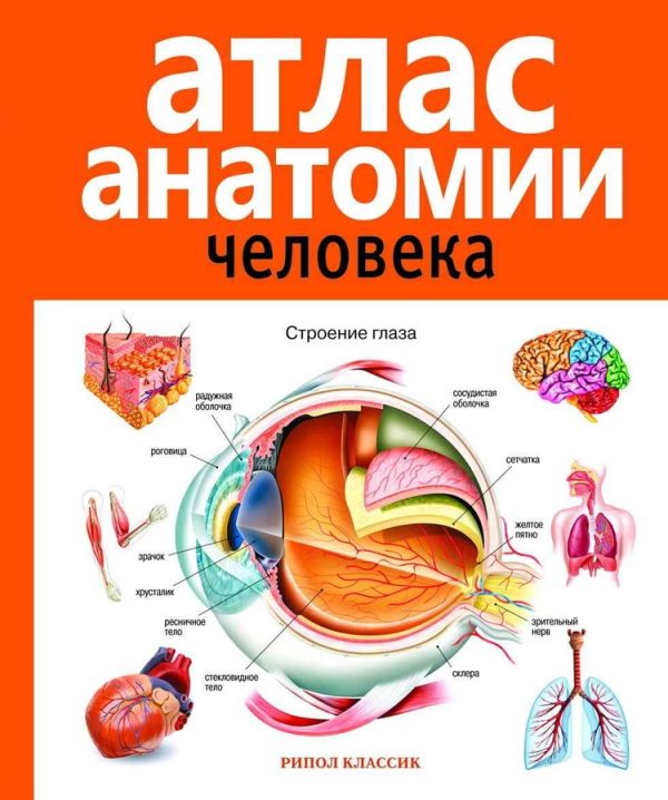 Атлас анатомии человека. 2-е изд., доп. и перераб. Марысаев В.Б.. Марысаев В.Б.