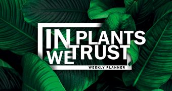 мини планер in plants we trust Мини-планер. In PLANTS we trust