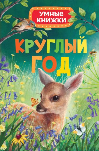 Круглый год (Умные книжки) Круглый год (Умные книжки) Боун Э.