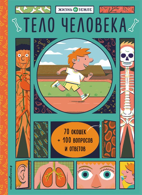 Zakazat.ru: Тело человека (с окошками). Александр Хезер