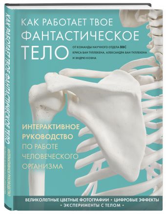 Секреты человеческого тела Секреты человеческого тела Миронова Л.Н.