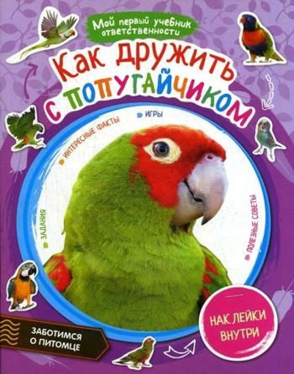 

Как дружить с попугайчиком + наклейки внутри