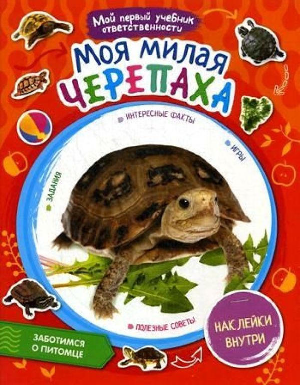 

Моя милая черепаха + наклейки внутри