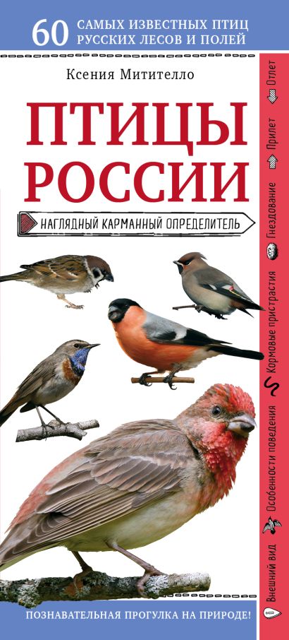 Птицы России. Наглядный карманный определитель - фото 1