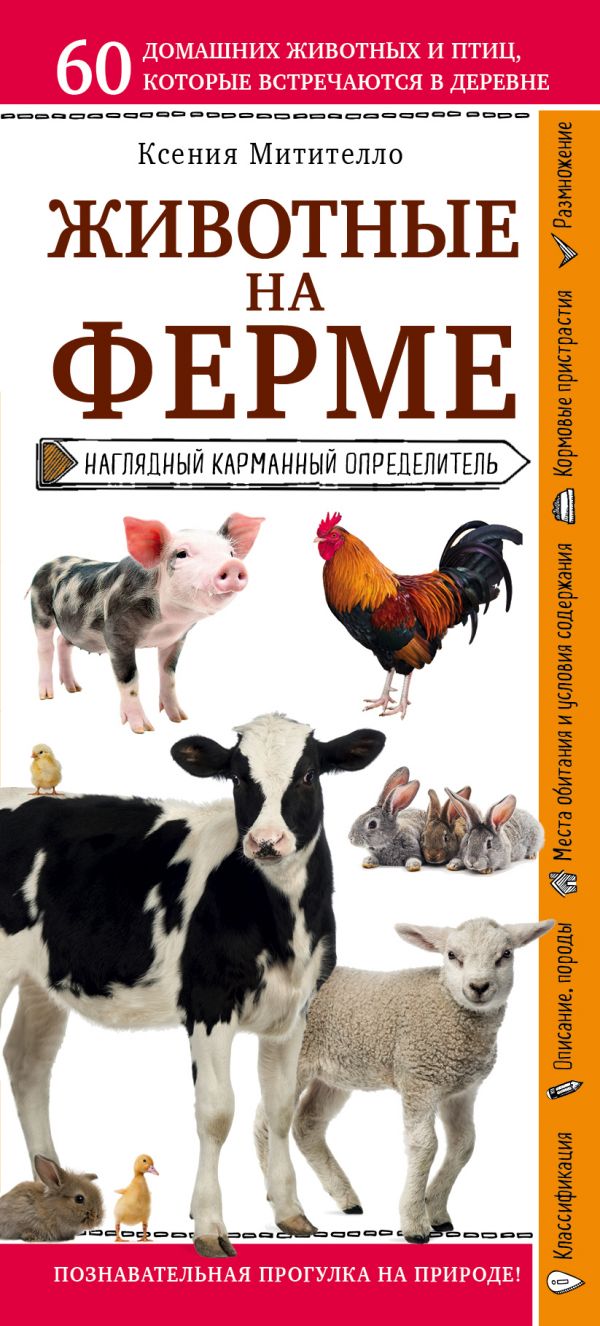 Zakazat.ru: Животные на ферме. Наглядный карманный определитель. Митителло Ксения Борисовна