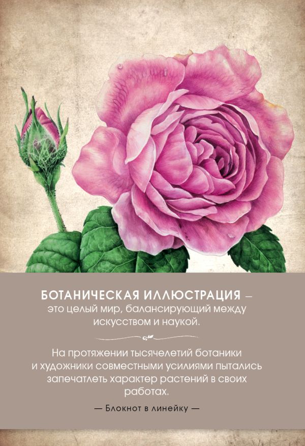

Блокнот. Ботаническая иллюстрация (розовый)