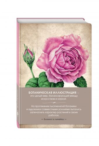Блокнот. Ретро иллюстрации (ботаника) (оф. 1) Блокнот. Ретро иллюстрации (ботаника) (оф. 1)