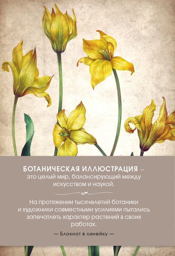 

Блокнот. Ботаническая иллюстрация (зеленый)