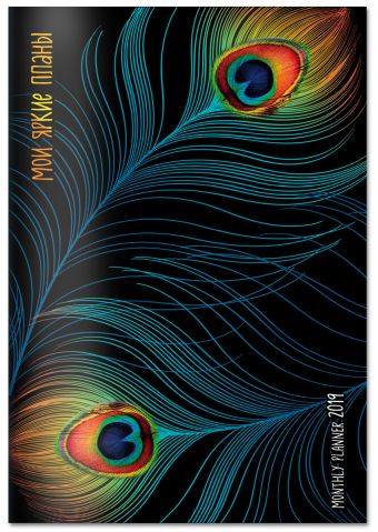 Мои яркие планы. Monthly Planner 2019 Мои яркие планы. Monthly Planner 2019