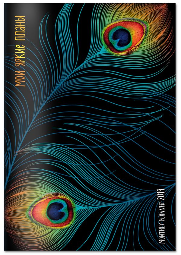Мои яркие планы. Monthly Planner 2019 Мои яркие планы. Monthly Planner 2019