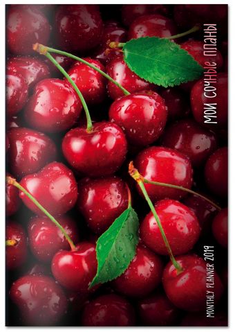 Мои сочные планы. Monthly Planner 2019 Мои сочные планы. Monthly Planner 2019