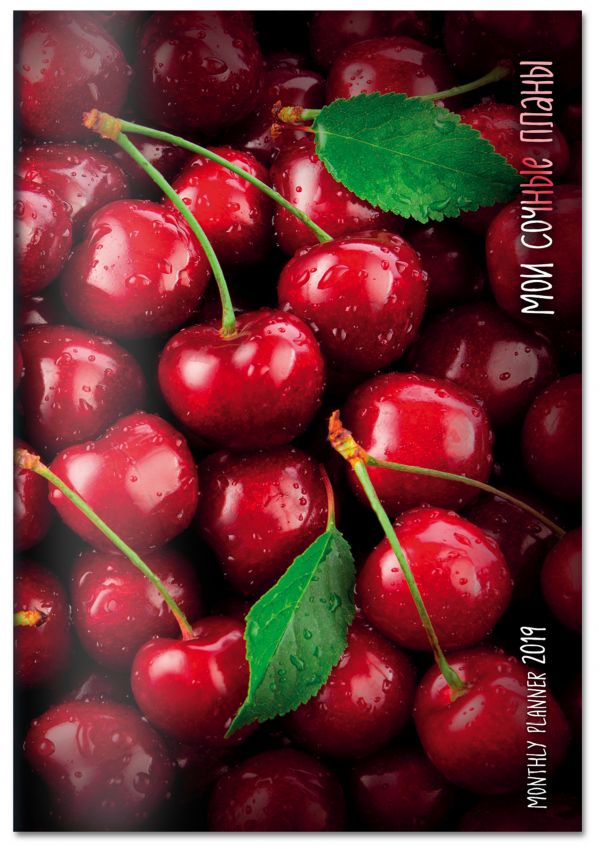 Мои сочные планы. Monthly Planner 2019 Мои сочные планы. Monthly Planner 2019
