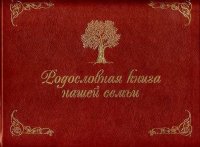 

Родословная книга нашей семьи (золот.тиснен.). Кондахсазова Д.