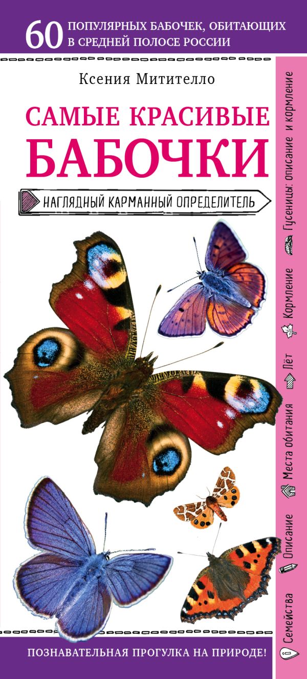 Бабочки. Наглядный карманный определитель (для ПР). Митителло Ксения Борисовна