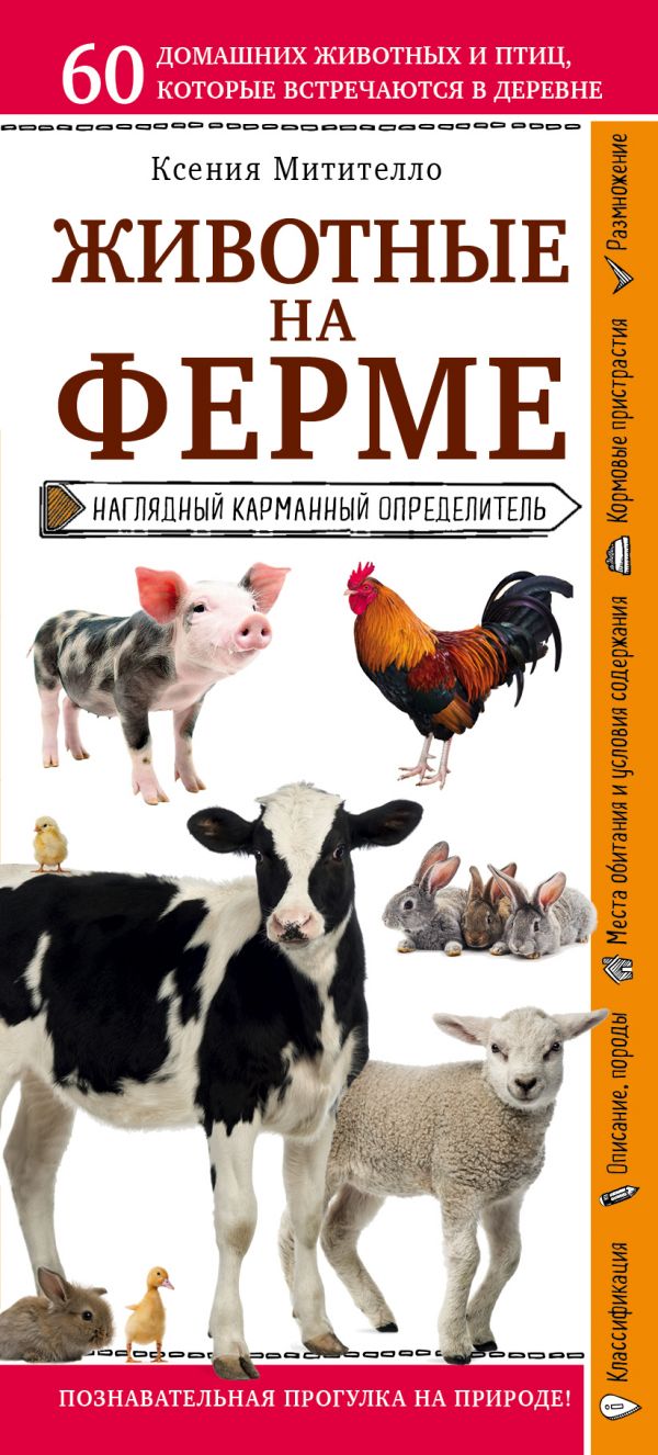

Животные на ферме. Наглядный карманный определитель (для ПР)