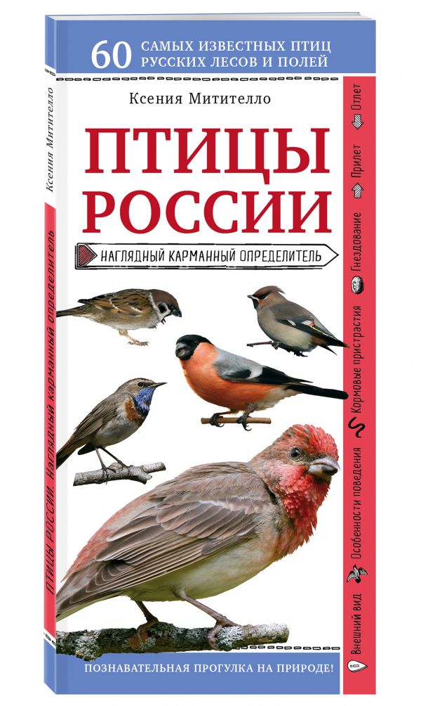 Птицы России. Наглядный карманный определитель (для ПР) Птицы России. Наглядный карманный определитель (для ПР) Митителло К.Б.