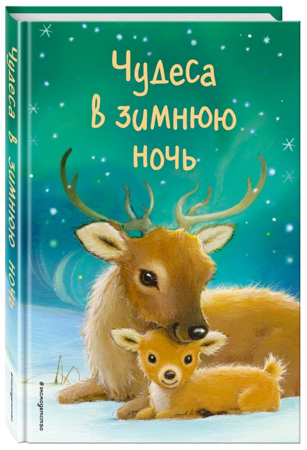 Чудеса в зимнюю ночь (выпуск 2). Холли Вебб и др.
