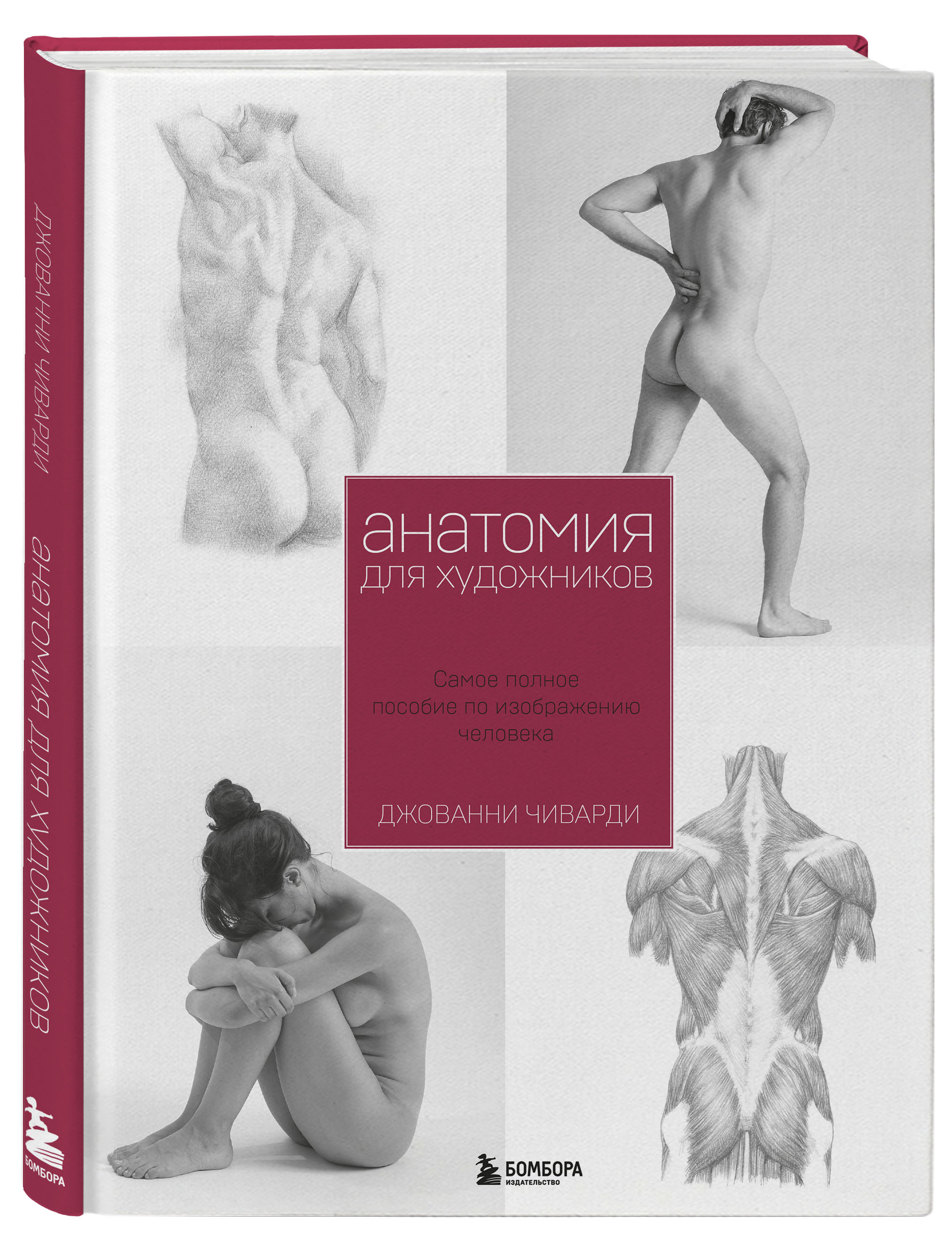 Чиварди Джованни Анатомия для художника. Самое полное пособие по изображению человека цена Чиварди Джованни Анатомия для художника. Самое полное пособие по изображению человека цены онлайн