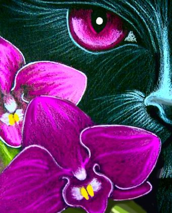 

Алмазная картина 17х21. Лиловый взгляд- алмазная картина (MP008)