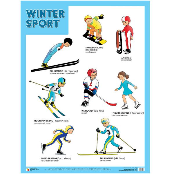 Плакаты (англ). Winter Sport (Зимние виды спорта)