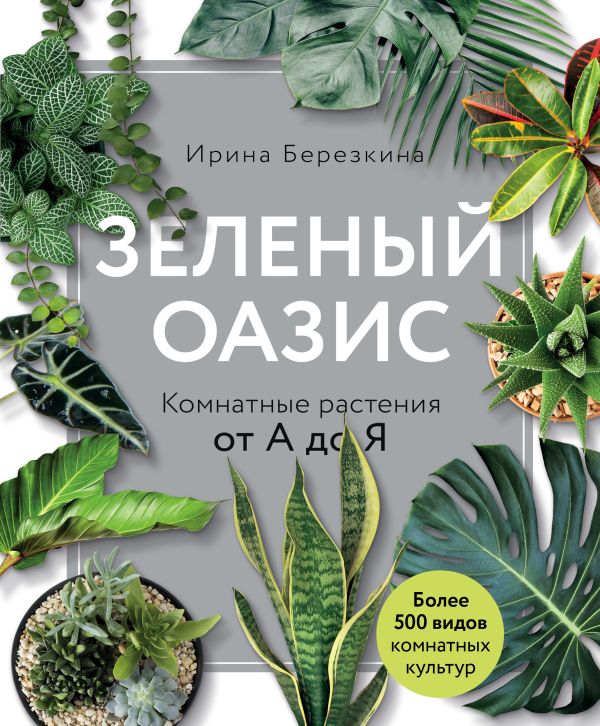 Зеленый оазис. Комнатные растения от А до Я. Березкина Ирина Валентиновна