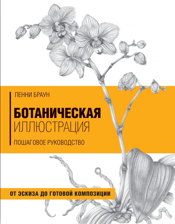 Zakazat.ru: Ботаническая иллюстрация. Пошаговое руководство. От эскиза до готовой композиции. Браун Пенни