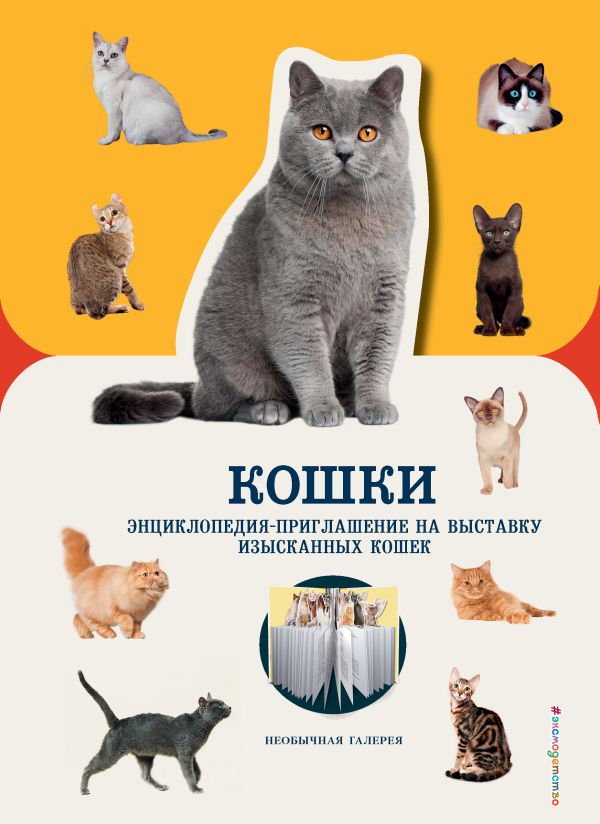 Кошки. Пуллинг Дженнифер