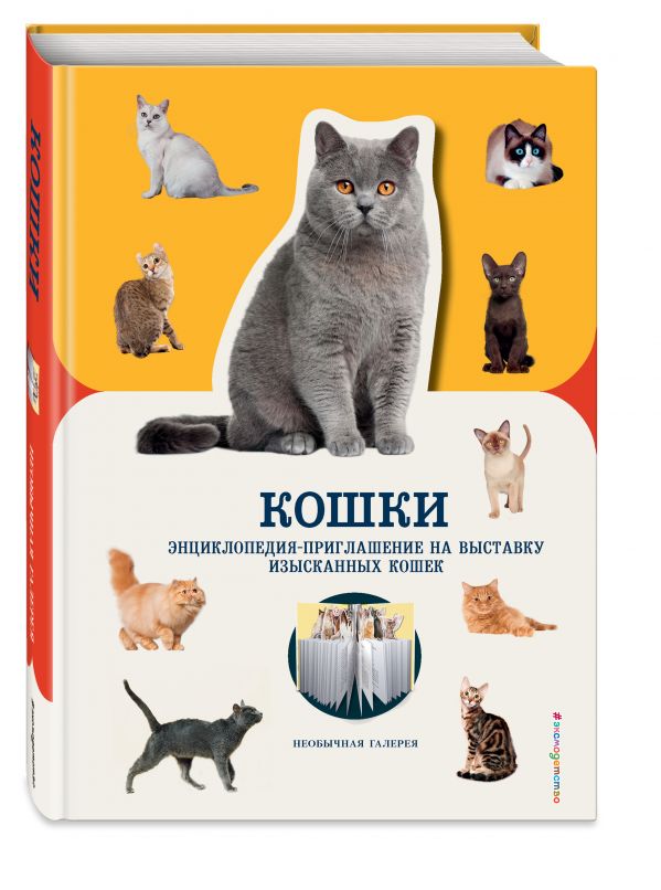 Пуллинг Дженнифер : Кошки