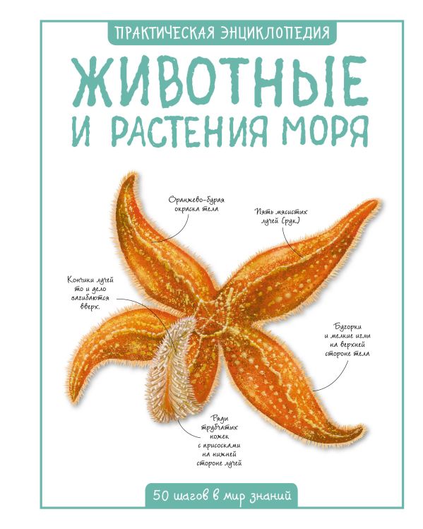 Zakazat.ru: Животные и растения моря. Бедуайер К.