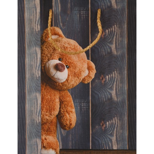 Пакет подарочный Dream Cards с матовой ламинацией 18х23х10 см Медвежонок ПКП-1269