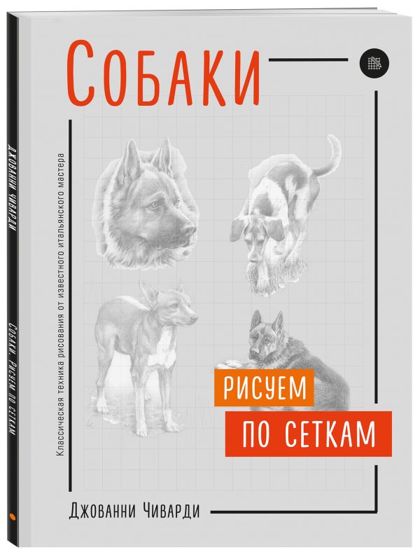 

Собаки. Рисуем по сеткам