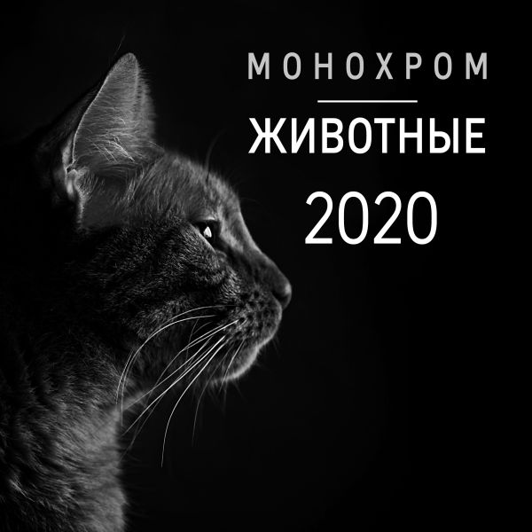 Монохром. Животные. Календарь настенный на 2020 год (300х300 мм)