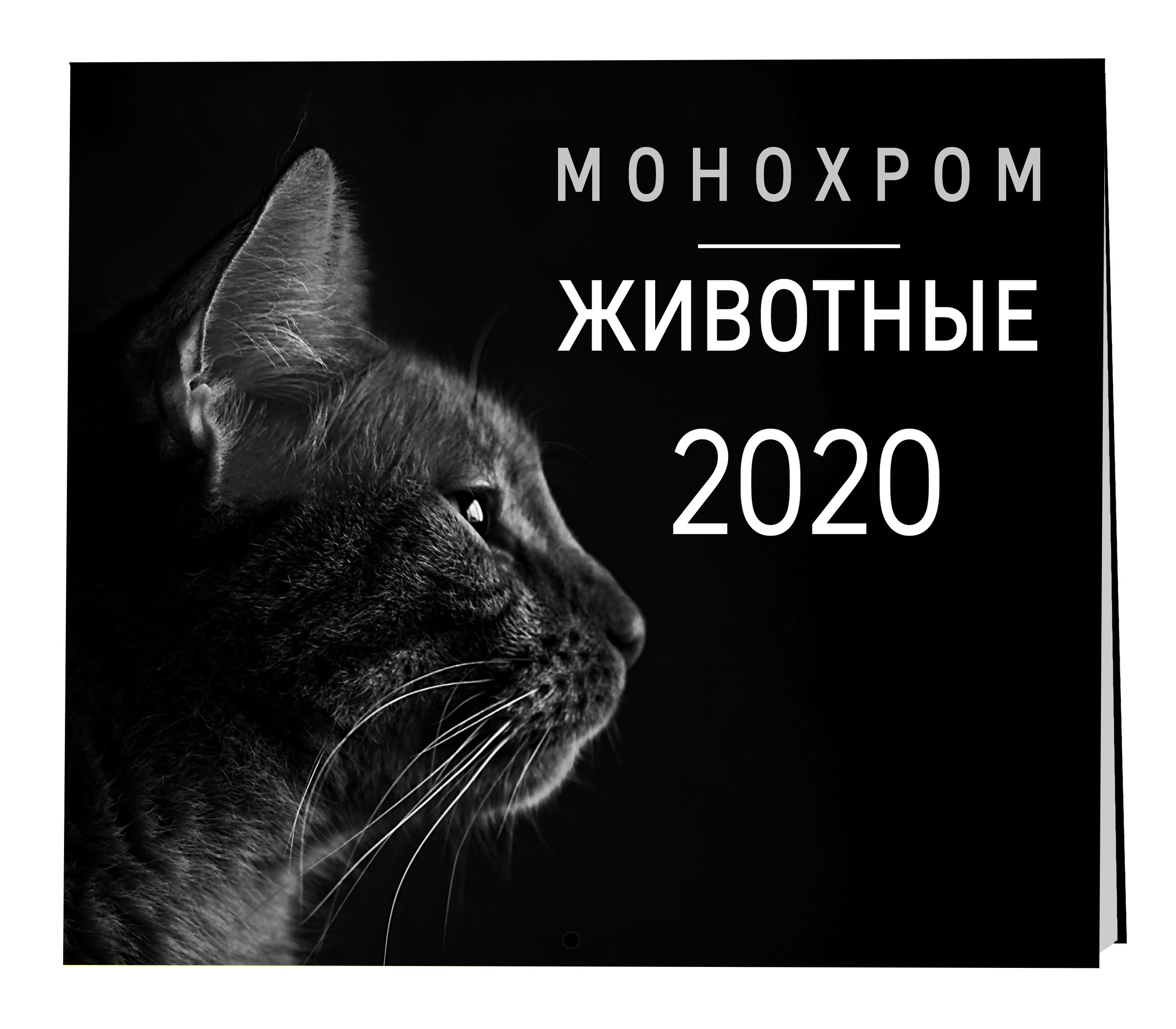 Монохром. Животные. Календарь настенный на 2020 год (300х300 мм)