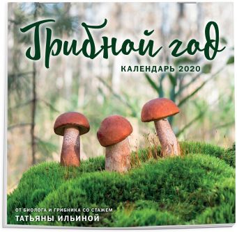 

Грибной год. Календарь настенный на 2020 год (300х300 мм)